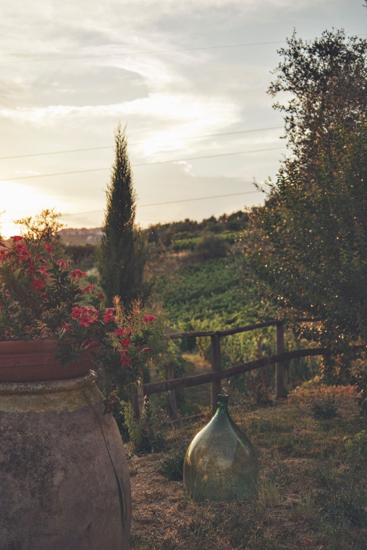 Cantina vinicola con degustazione vini ad Arcola
