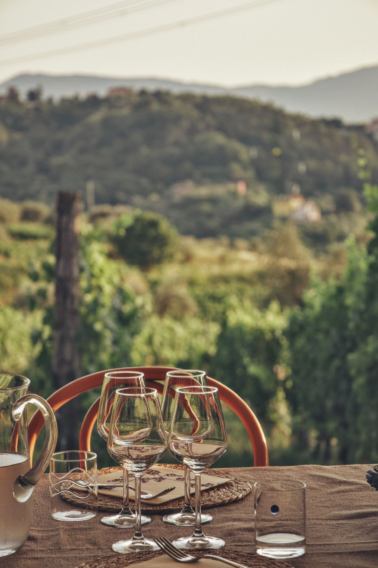 Cantina vinicola con degustazione vini ad Arcola
