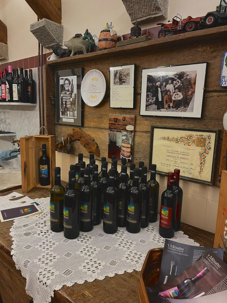 Cantina vinicola con degustazione vini ad Arcola