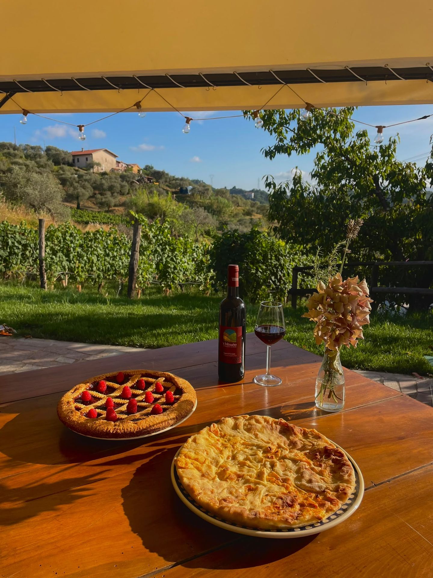 Cantina vinicola con degustazione vini ad Arcola