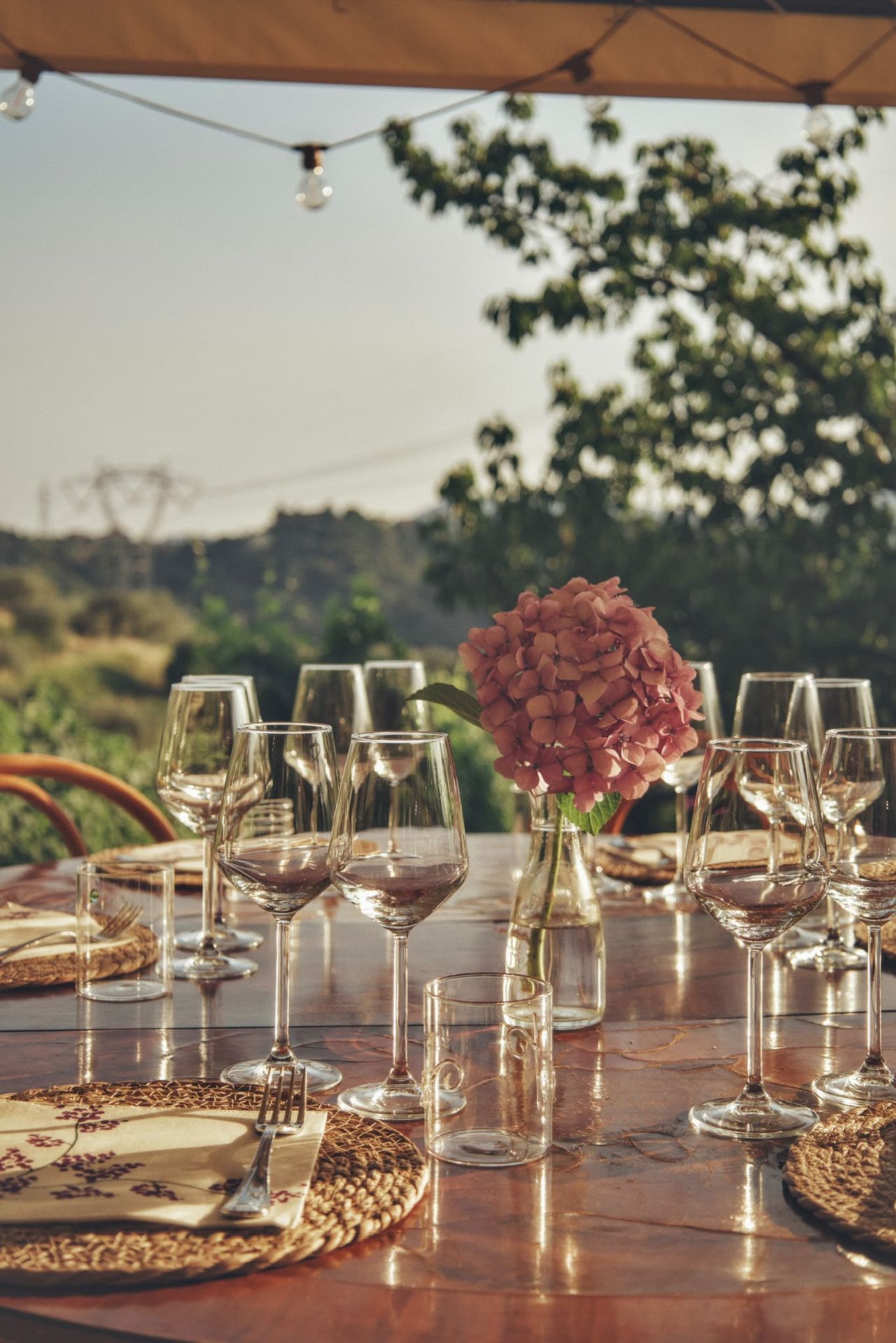 Cantina vinicola con degustazione vini ad Arcola